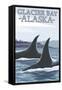 Orca Whales No.1, Glacier Bay, Alaska-Lantern Press-Framed Stretched Canvas