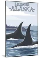 Orca Whales No.1, Homer, Alaska-Lantern Press-Mounted Art Print