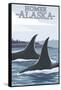 Orca Whales No.1, Homer, Alaska-Lantern Press-Framed Stretched Canvas