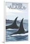 Orca Whales No.1, Homer, Alaska-Lantern Press-Framed Art Print