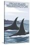 Orca Whales No.1, Orcas Island, Washington-Lantern Press-Stretched Canvas