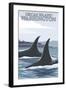 Orca Whales No.1, Orcas Island, Washington-Lantern Press-Framed Art Print