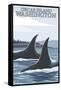 Orca Whales No.1, Orcas Island, Washington-Lantern Press-Framed Stretched Canvas