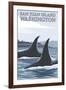 Orca Whales No.1, San Juan Island, Washington-Lantern Press-Framed Art Print