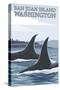 Orca Whales No.1, San Juan Island, Washington-Lantern Press-Stretched Canvas