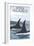 Orca Whales No.1, Sitka, Alaska-Lantern Press-Framed Art Print