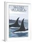Orca Whales No.1, Valdez, Alaska-Lantern Press-Framed Art Print