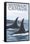 Orca Whales No.1, Victoria, BC Canada-Lantern Press-Framed Stretched Canvas