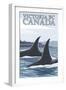 Orca Whales No.1, Victoria, BC Canada-Lantern Press-Framed Art Print