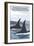 Orca Whales No.1, Whidbey, Washington-Lantern Press-Framed Art Print