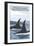 Orca Whales No.1, Whidbey, Washington-Lantern Press-Framed Art Print