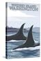 Orca Whales No.1, Whidbey, Washington-Lantern Press-Stretched Canvas