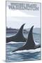 Orca Whales No.1, Whidbey, Washington-Lantern Press-Mounted Art Print