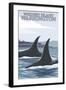 Orca Whales No.1, Whidbey, Washington-Lantern Press-Framed Art Print