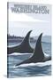 Orca Whales No.1, Whidbey, Washington-Lantern Press-Stretched Canvas