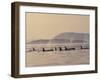 Orca Whales Surfacing in the San Juan Islands, Washington, USA-Stuart Westmoreland-Framed Premium Photographic Print