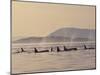 Orca Whales Surfacing in the San Juan Islands, Washington, USA-Stuart Westmoreland-Mounted Premium Photographic Print