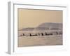 Orca Whales Surfacing in the San Juan Islands, Washington, USA-Stuart Westmoreland-Framed Photographic Print