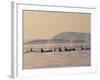 Orca Whales Surfacing in the San Juan Islands, Washington, USA-Stuart Westmoreland-Framed Photographic Print