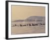 Orca Whales Surfacing in the San Juan Islands, Washington, USA-Stuart Westmoreland-Framed Photographic Print