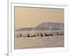 Orca Whales Surfacing in the San Juan Islands, Washington, USA-Stuart Westmoreland-Framed Photographic Print