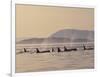 Orca Whales Surfacing in the San Juan Islands, Washington, USA-Stuart Westmoreland-Framed Photographic Print