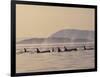 Orca Whales Surfacing in the San Juan Islands, Washington, USA-Stuart Westmoreland-Framed Photographic Print