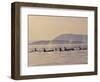 Orca Whales Surfacing in the San Juan Islands, Washington, USA-Stuart Westmoreland-Framed Photographic Print