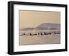 Orca Whales Surfacing in the San Juan Islands, Washington, USA-Stuart Westmoreland-Framed Photographic Print