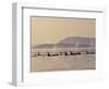 Orca Whales Surfacing in the San Juan Islands, Washington, USA-Stuart Westmoreland-Framed Photographic Print