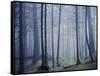 Orcas Island, Moran State Park, Washington, USA-Charles Gurche-Framed Stretched Canvas