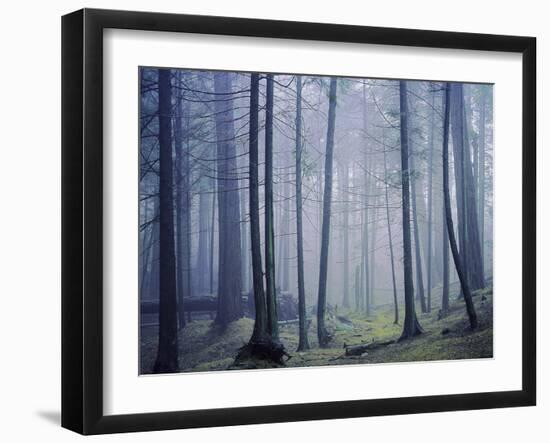 Orcas Island, Moran State Park, Washington, USA-Charles Gurche-Framed Premium Photographic Print