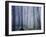 Orcas Island, Moran State Park, Washington, USA-Charles Gurche-Framed Premium Photographic Print