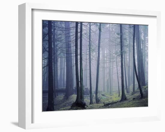 Orcas Island, Moran State Park, Washington, USA-Charles Gurche-Framed Premium Photographic Print