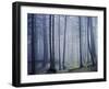 Orcas Island, Moran State Park, Washington, USA-Charles Gurche-Framed Photographic Print