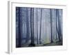 Orcas Island, Moran State Park, Washington, USA-Charles Gurche-Framed Photographic Print