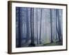 Orcas Island, Moran State Park, Washington, USA-Charles Gurche-Framed Photographic Print