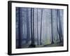 Orcas Island, Moran State Park, Washington, USA-Charles Gurche-Framed Photographic Print