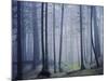 Orcas Island, Moran State Park, Washington, USA-Charles Gurche-Mounted Photographic Print