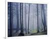 Orcas Island, Moran State Park, Washington, USA-Charles Gurche-Framed Photographic Print