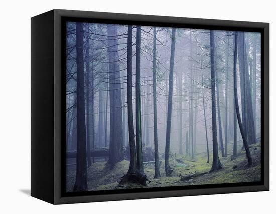 Orcas Island, Moran State Park, Washington, USA-Charles Gurche-Framed Stretched Canvas