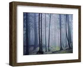 Orcas Island, Moran State Park, Washington, USA-Charles Gurche-Framed Photographic Print