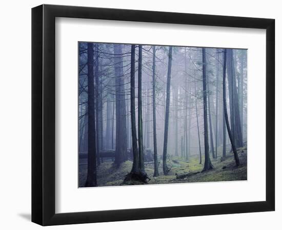 Orcas Island, Moran State Park, Washington, USA-Charles Gurche-Framed Photographic Print