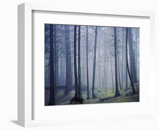 Orcas Island, Moran State Park, Washington, USA-Charles Gurche-Framed Photographic Print