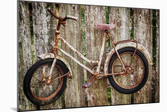 Orcas Island, Old Bicycle Hanging on Fence-Mark Williford-Mounted Photographic Print