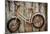 Orcas Island, Old Bicycle Hanging on Fence-Mark Williford-Mounted Photographic Print