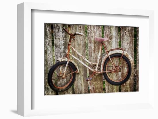 Orcas Island, Old Bicycle Hanging on Fence-Mark Williford-Framed Photographic Print