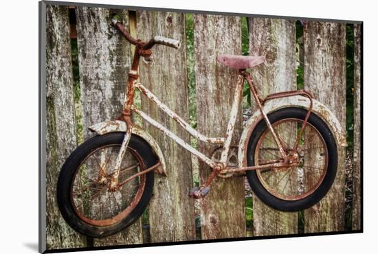 Orcas Island, Old Bicycle Hanging on Fence-Mark Williford-Mounted Photographic Print