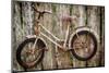 Orcas Island, Old Bicycle Hanging on Fence-Mark Williford-Mounted Photographic Print