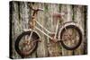 Orcas Island, Old Bicycle Hanging on Fence-Mark Williford-Stretched Canvas